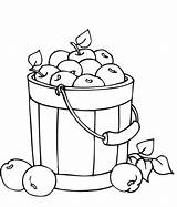 Basket Coloring Apple Template Apples sketch template