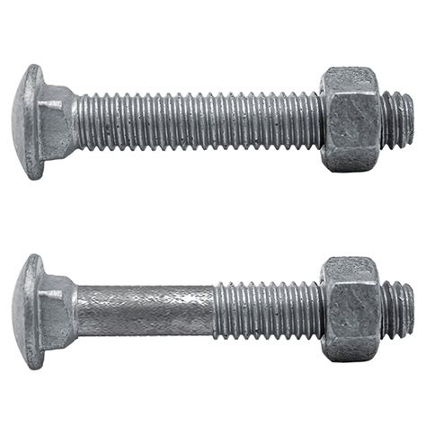 pack      stainless steel carriage bolts tillescenter bolts fasteners