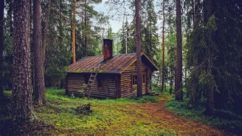 leuke airbnb boshuisjes op de veluwe