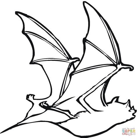vampire bat drawing  getdrawings
