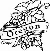 Oregon Bird Oklahoma Grape sketch template