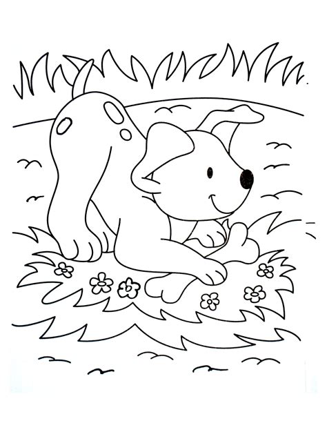 dog picture    color dogs kids coloring pages