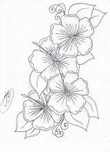 Coloring Pages Hawaiian Flowers Printable Flower Popular Colouring sketch template