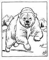 Coloring Pages Bear Kids Printable Animal Grizzly Bestcoloringpagesforkids sketch template
