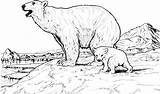 Polar Bear Coloring Pages Printable Kids Baby Mother sketch template