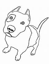 Pitbull Coloring Pages Pit Bull Drawing Realistic Line Zombie Bucking Color Drawings Getdrawings Getcolorings Cute Printable Puppies Paintingvalley Bulls sketch template