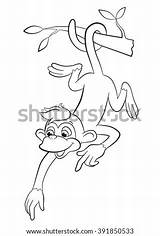 Monkey Cute Tree Coloring Pages Little Vector Cartoon Branch Smiling Hanging Stock Search Shutterstock sketch template