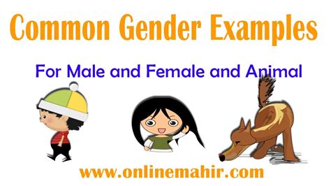 100 Examples Of Common Gender In Sentences And List