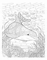 Coloring Pages Adult Oceana Ocean Issuu Adults sketch template