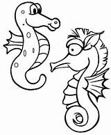 Seahorse Seahorses Kunjungi sketch template
