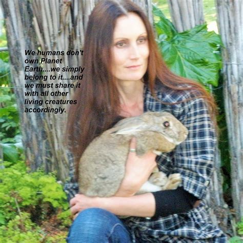 Wild Rabbits And Hares New Zealand And Around The World