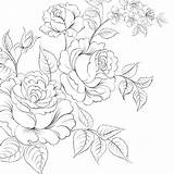 Briar Coloring Pages из все категории раскраски Flowers sketch template