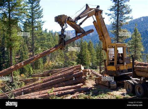 logging truck  national forest  res stock photography  images