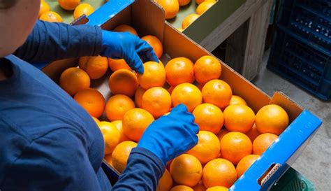 updated regs  bulk citrus movement  hlb quarantine area california fresh fruit magazine