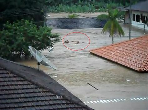 o círculo mostra as meninas sendo arrastadas pela correnteza no bairro campo belo em bom jardim