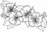 Hawaiian Hibiscus Coloriage Fleurs Educative Sheets Educativeprintable sketch template