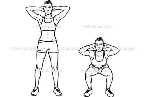 bodyweight squats workoutlabs exercise guide