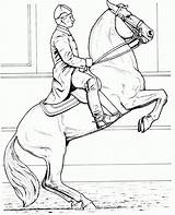 Horse Caballos Caballo Doma Cavalos Cavalo Colorir Lipizzaner Dressage Rider Dibujoswiki sketch template