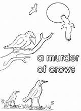 Collective Murder Nouns Crows Pages Colouring Activities Noun Find sketch template