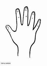 Hands Hand Shapes sketch template