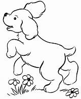Coloring Puppy Pages Playful Kids sketch template