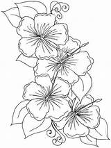 Coloring Hibiscus Hawaiian Tropical Mycoloring Bud Stencils sketch template