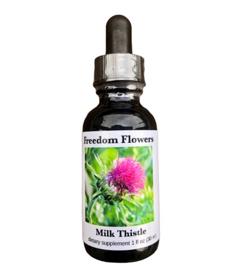 Milk Thistle Flower Essence Freedom Flowers® Llc