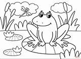 Coloring Frog Pages Printable Frogs Drawing Cartoon Paper Colorings Animals Work sketch template