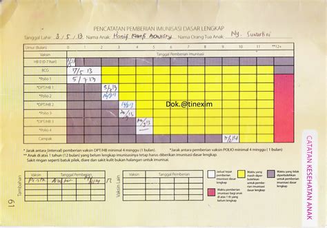imunisasi dasar lengkap konsep terkini