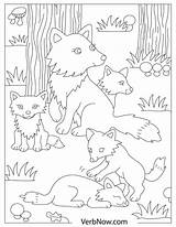 Foxes Pups Pdf sketch template