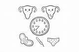 Menstrual Explained sketch template