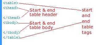 create  table  html learn web tutorials