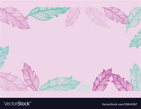 cute background  feathers card design vector image