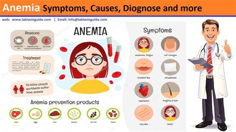 anemia definition anemia sign  symptoms anemia  types hot