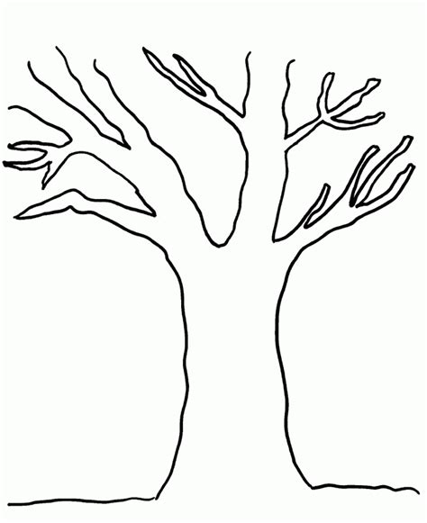 coloring pages  leaves  trees coloring home