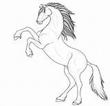 Horse Rearing Lineart sketch template