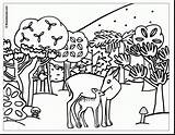 Coloring Pages Realistic Getdrawings Animals sketch template