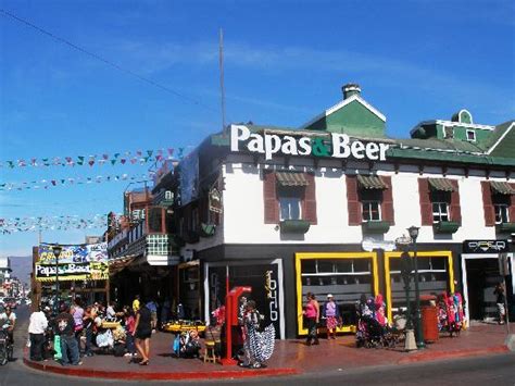 papas  beer ensenada mexico  tripadvisor address phone number bar club reviews
