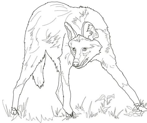 maned wolf coloring pages coloring cool