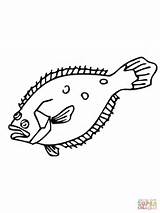 Flounder Coloring Pages Printable Online Color Clipart Flounders Supercoloring Categories sketch template