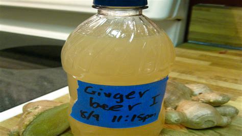 healthy ginger beer recipe health recipes page 1 paste