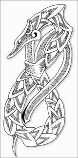 Celtic Dragon Getdrawings Drawing sketch template