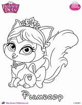 Palace Coloring Princess Pets Pages Printables Disney Skgaleana Pet sketch template
