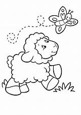 Baby Sheep Gambar Domba Lamb Mewarnai Tulamama Lambs Preschool Coloringsky Ducks Anak sketch template