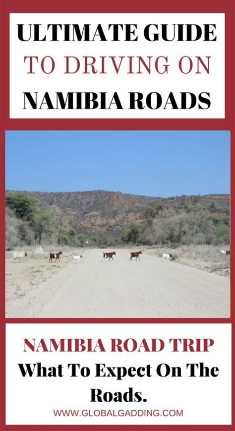 drive namibia confidently global gadding namibia travel africa travel guide namibia