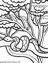Jungle Coloring Pages Clipartmag Plants Drawing sketch template
