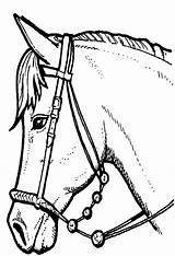 Bojanke Konji Crtež Konja Zivotinje Crtezi Djecu Printanje Bojanje sketch template