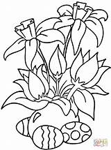 Daffodils Easter Coloring Pages Daffodil Clipart Colouring Printable Flower Flowers Drawing Spring Kids sketch template