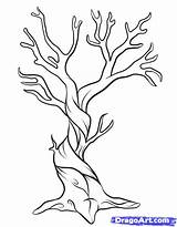 Tree Coloring Dead Drawings 79kb 810px sketch template