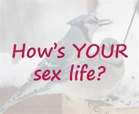 How’s My Sex Life How’s Yours Serendipity Seeking Intelligent Life